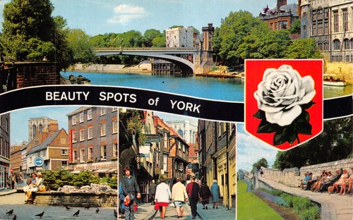 Bamforth topigraphical - bamforth,