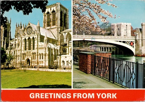 Greetings from york minster - greetings,